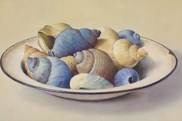 Still life with shells - Image 3